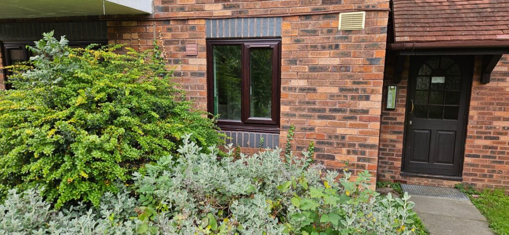 Window installers near me